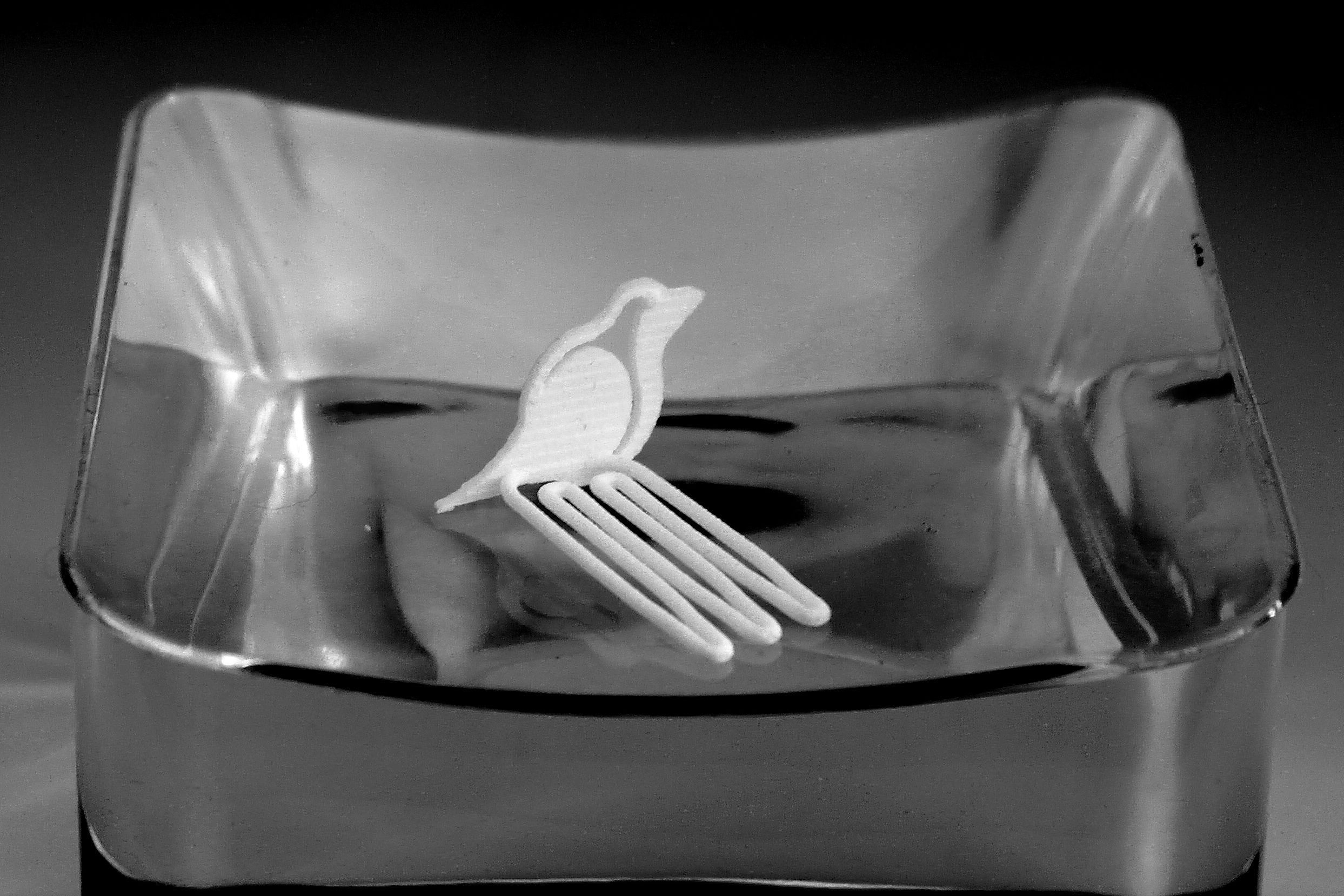 Robin for beard - front wearing 3D print model_4