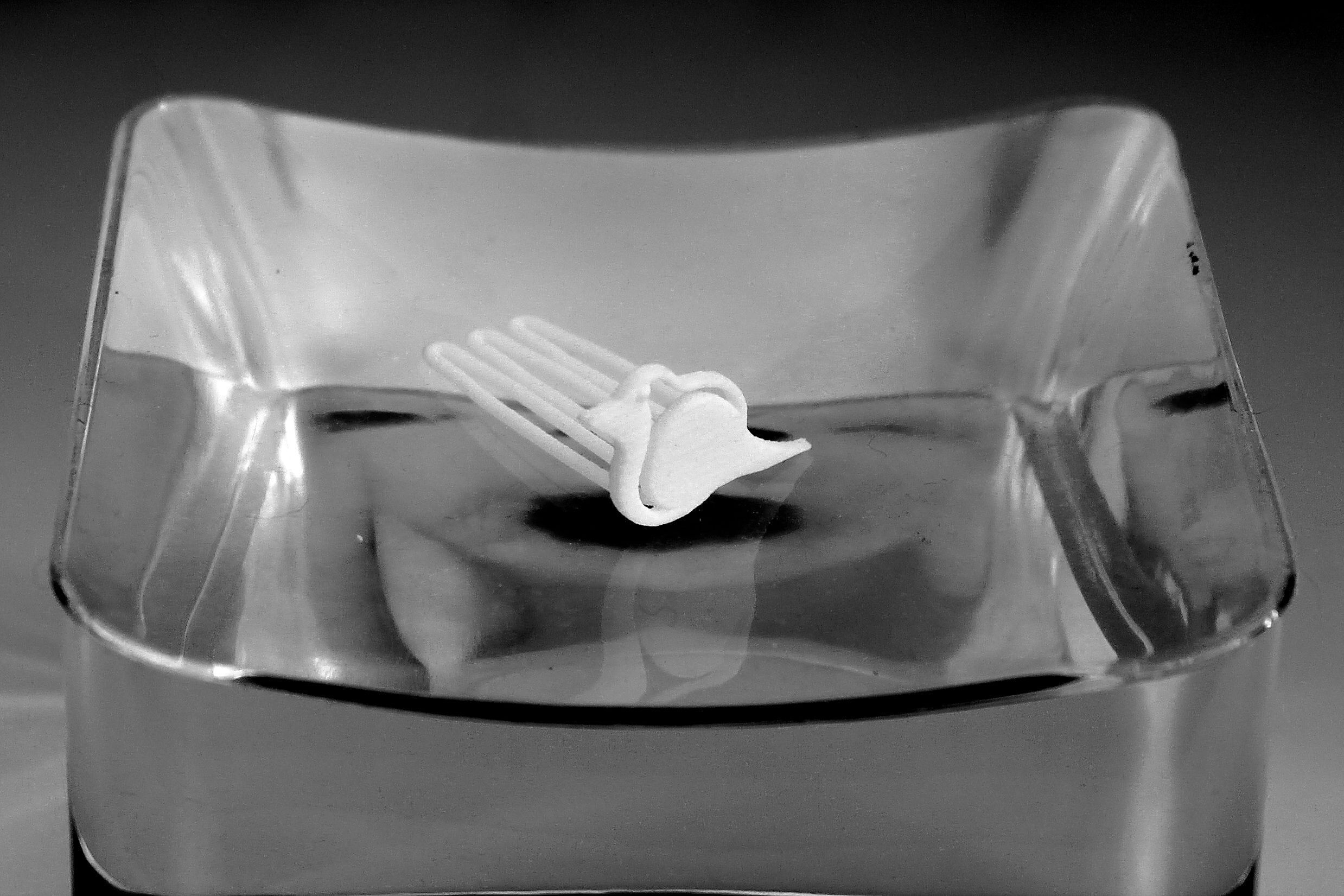 Robin for beard - front wearing 3D print model_5