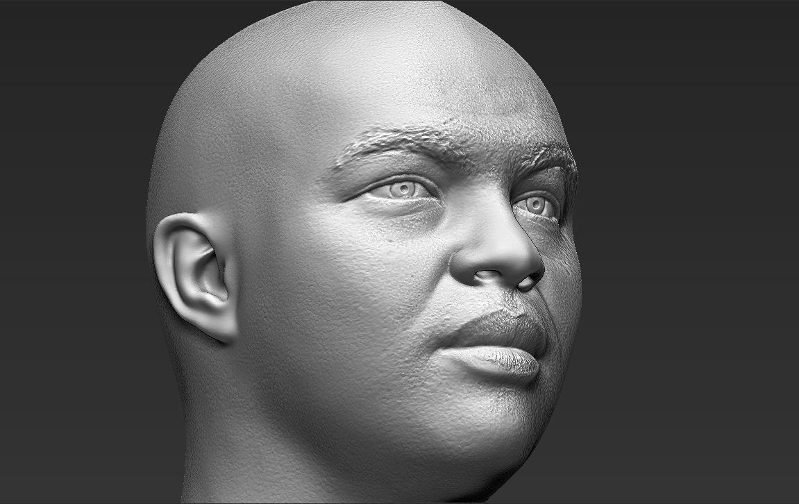 Charles Barkley bust 3D printing ready stl obj formats 3D print model_26