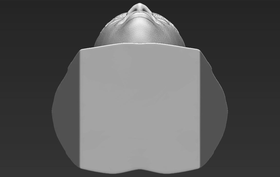 Charles Barkley bust 3D printing ready stl obj formats 3D print model_29