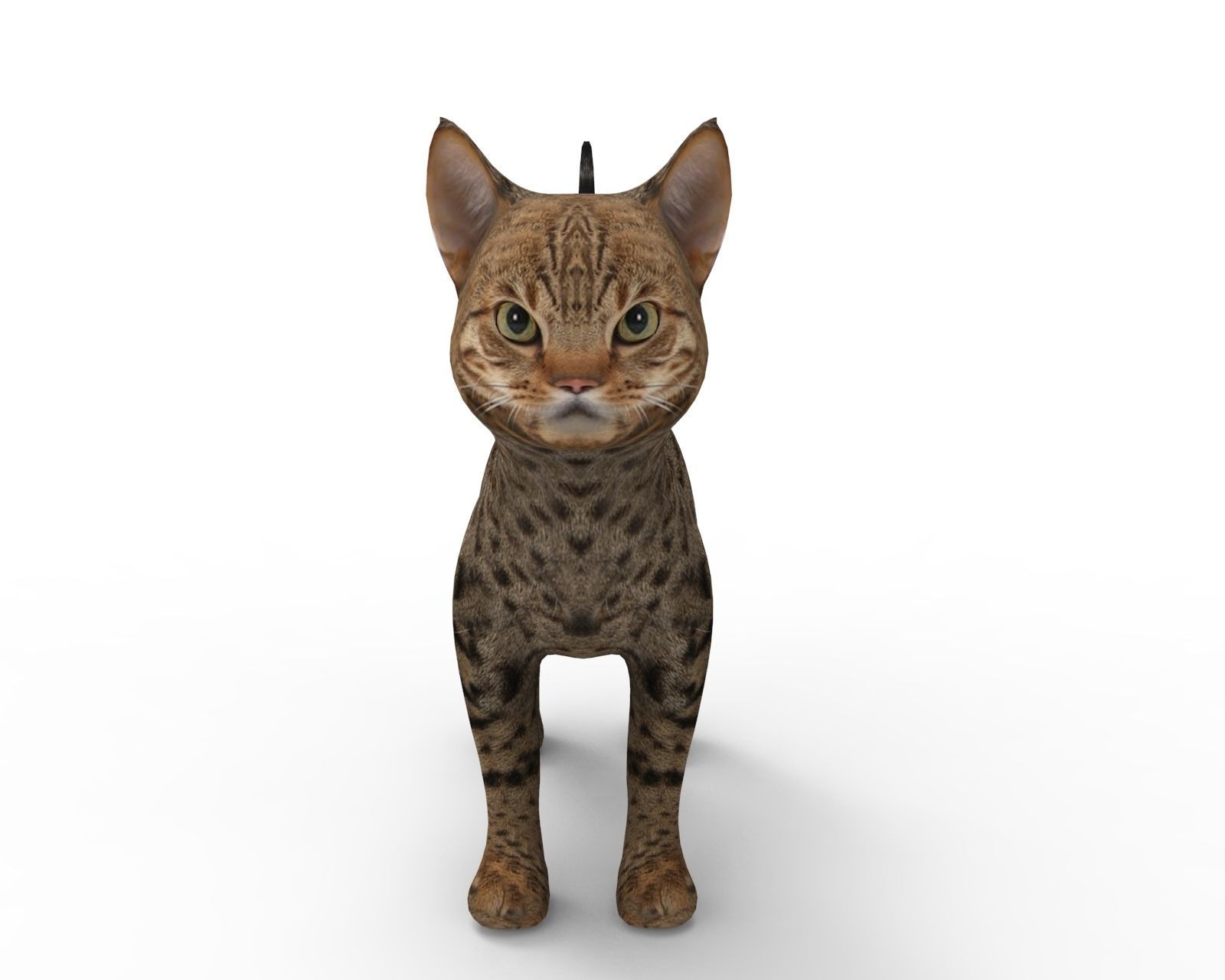 3D Cute pet cat model  Low-poly 3D model_6