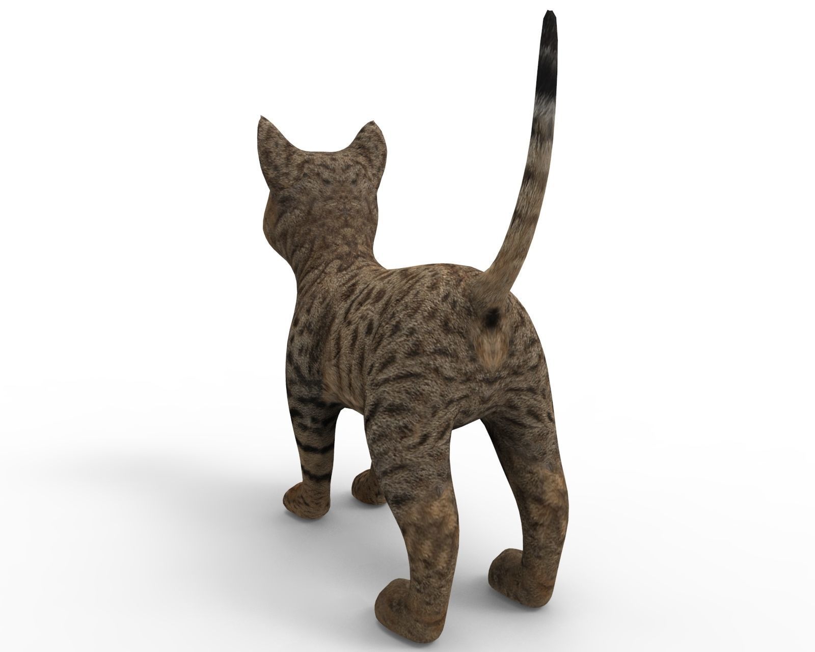 3D Cute pet cat model  Low-poly 3D model_1