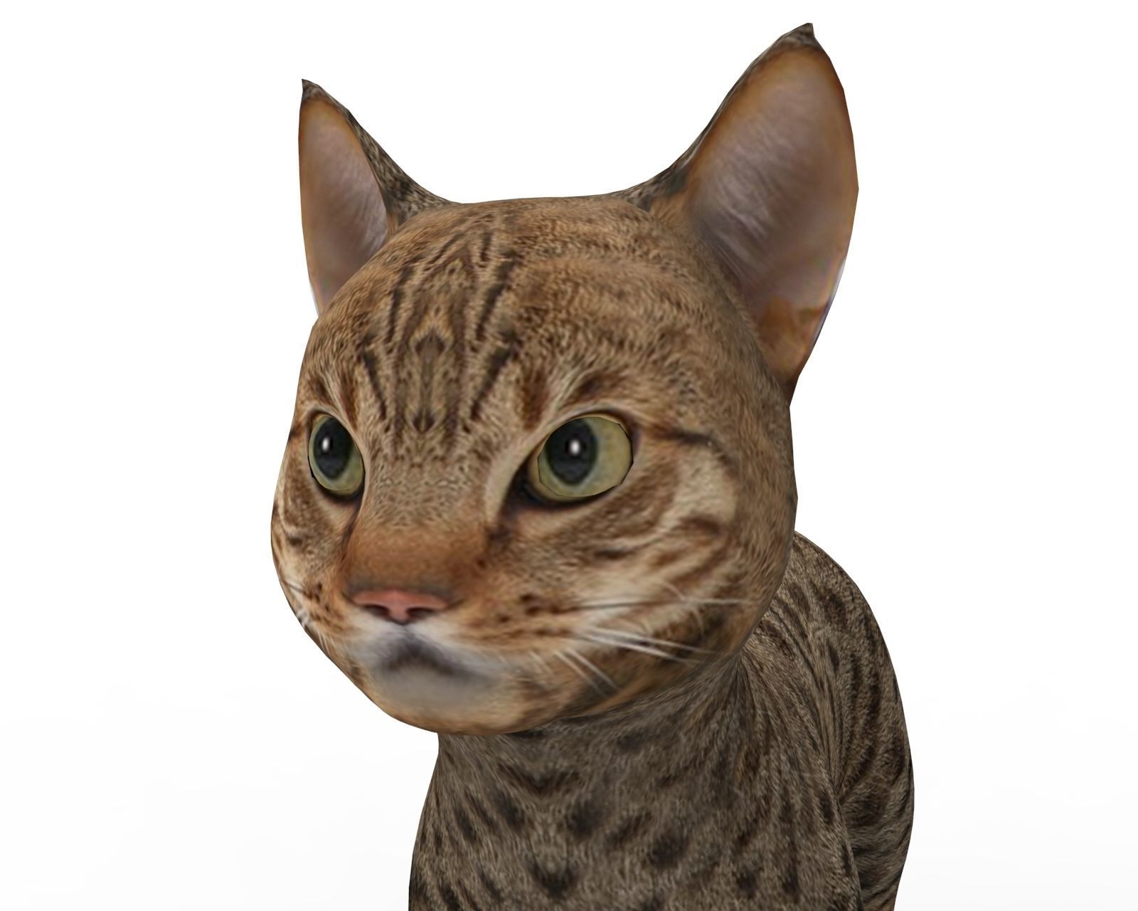 3D Cute pet cat model  Low-poly 3D model_7