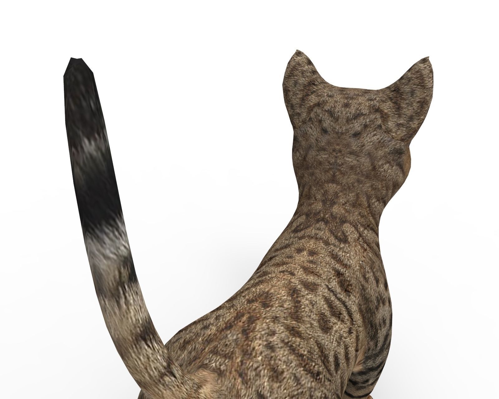 3D Cute pet cat model  Low-poly 3D model_8