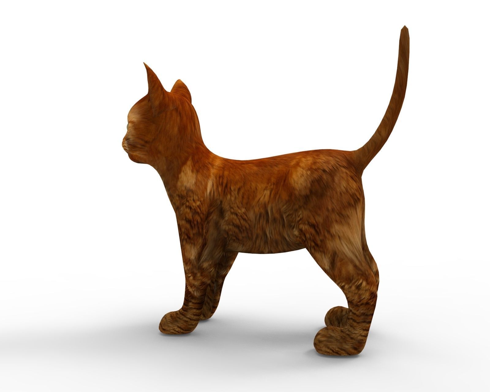 3d low poly Pet Cat Model Low-poly 3D model_6