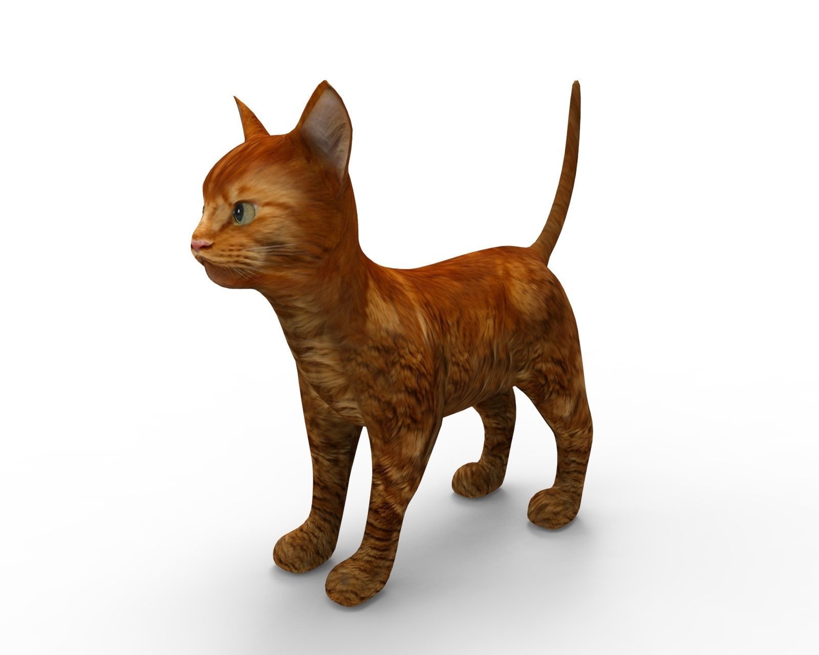 3d low poly Pet Cat Model Low-poly 3D model_7