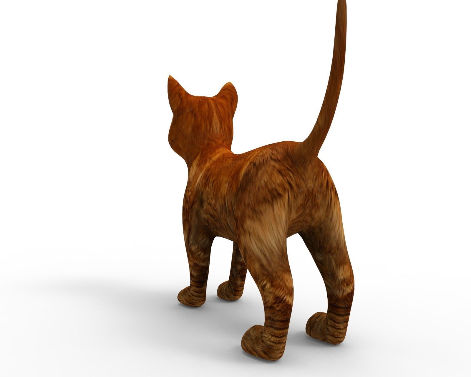 3d low poly Pet Cat Model Low-poly 3D model_5