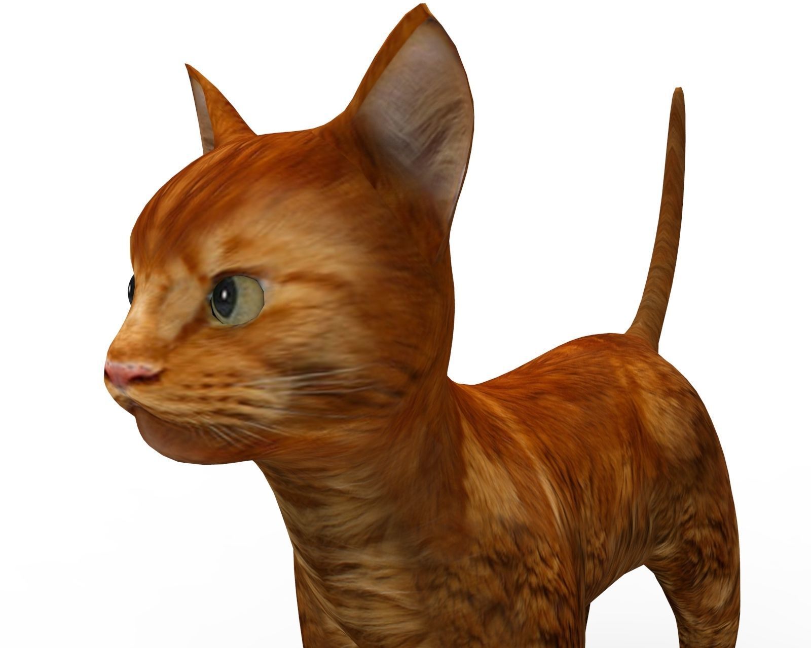3d low poly Pet Cat Model Low-poly 3D model_11