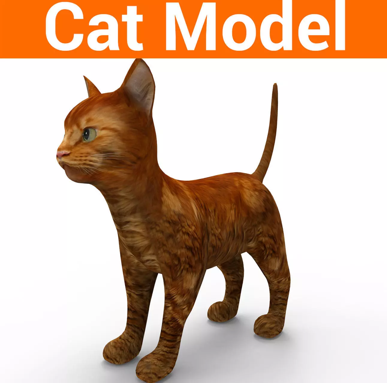 3d low poly Pet Cat Model Low-poly 3D model_0