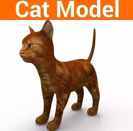3d low poly Pet Cat Model Low-poly 3D model 3d low poly Pet Cat Model Low-poly 3D model