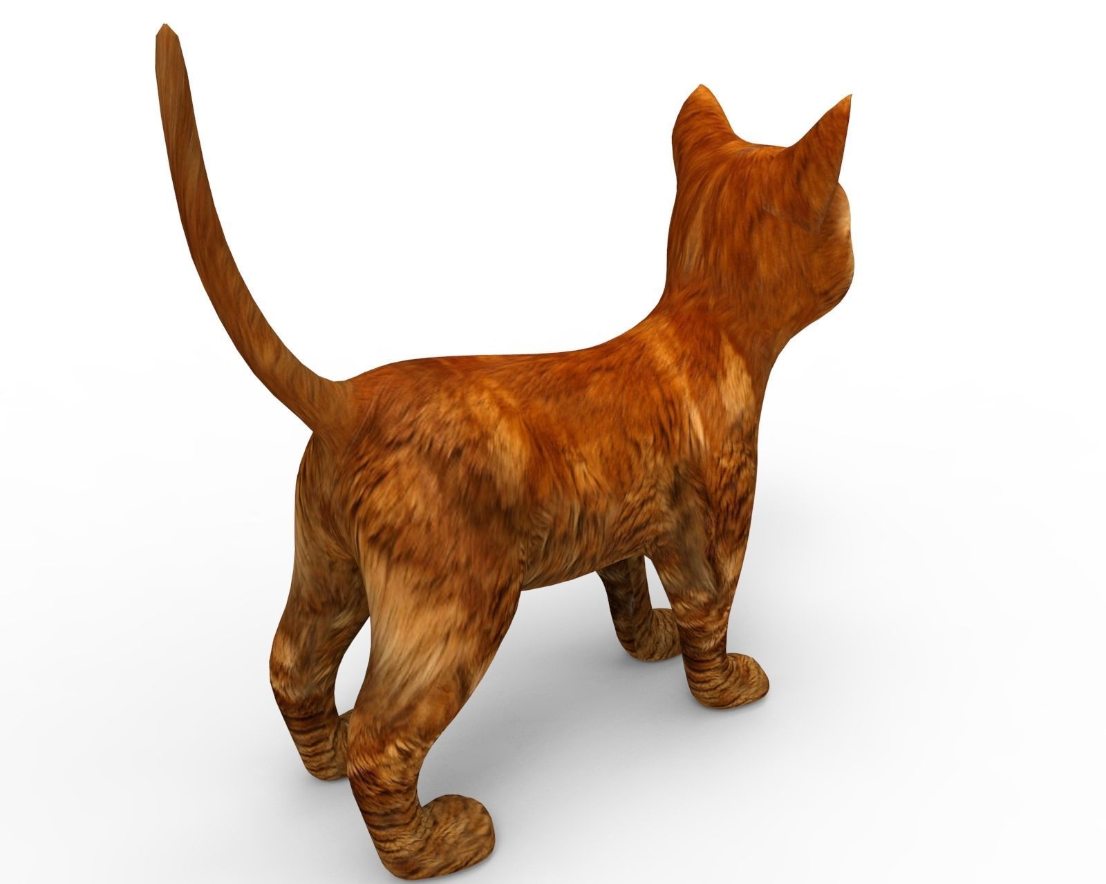 3d low poly Pet Cat Model Low-poly 3D model_4