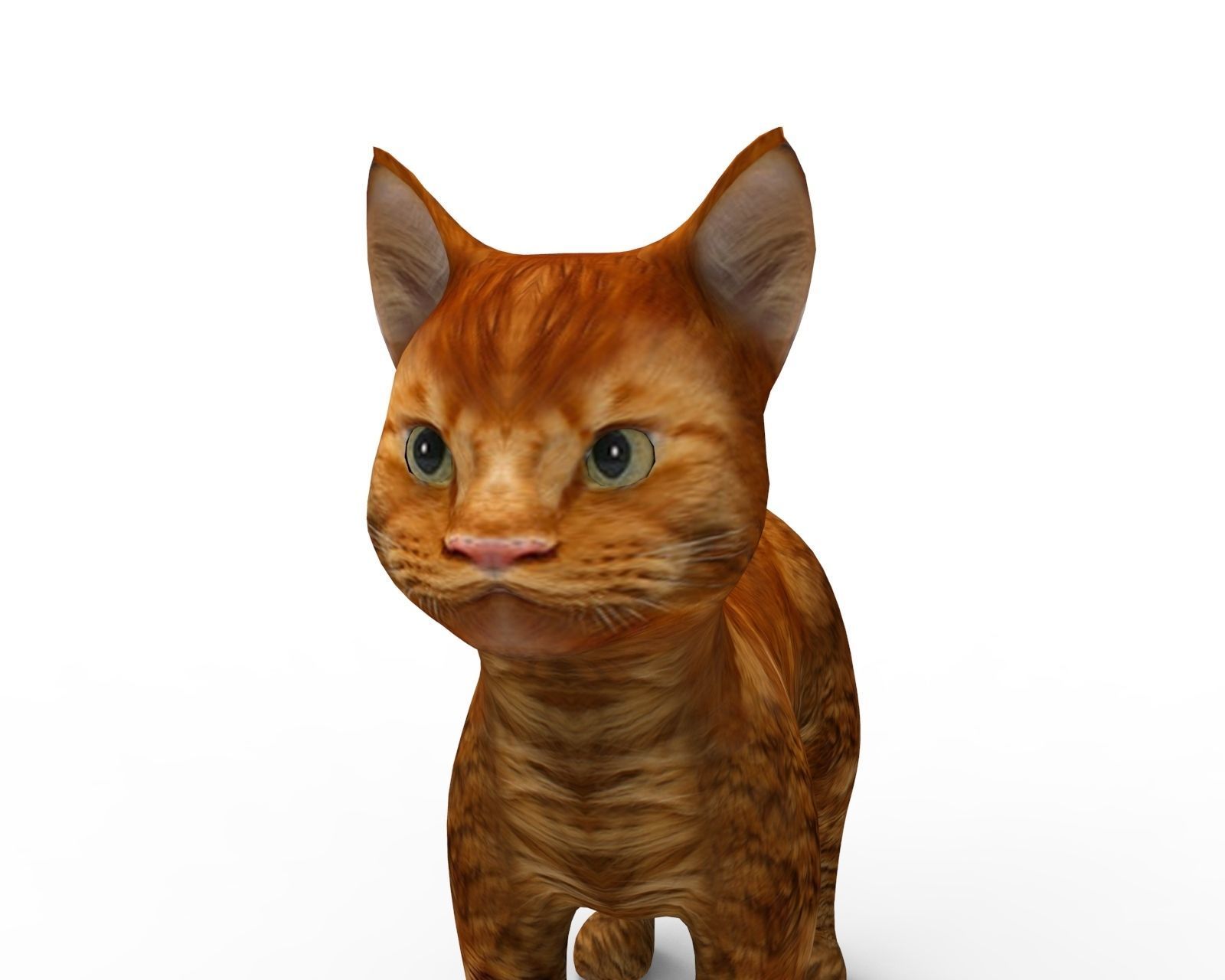 3d low poly Pet Cat Model Low-poly 3D model_1