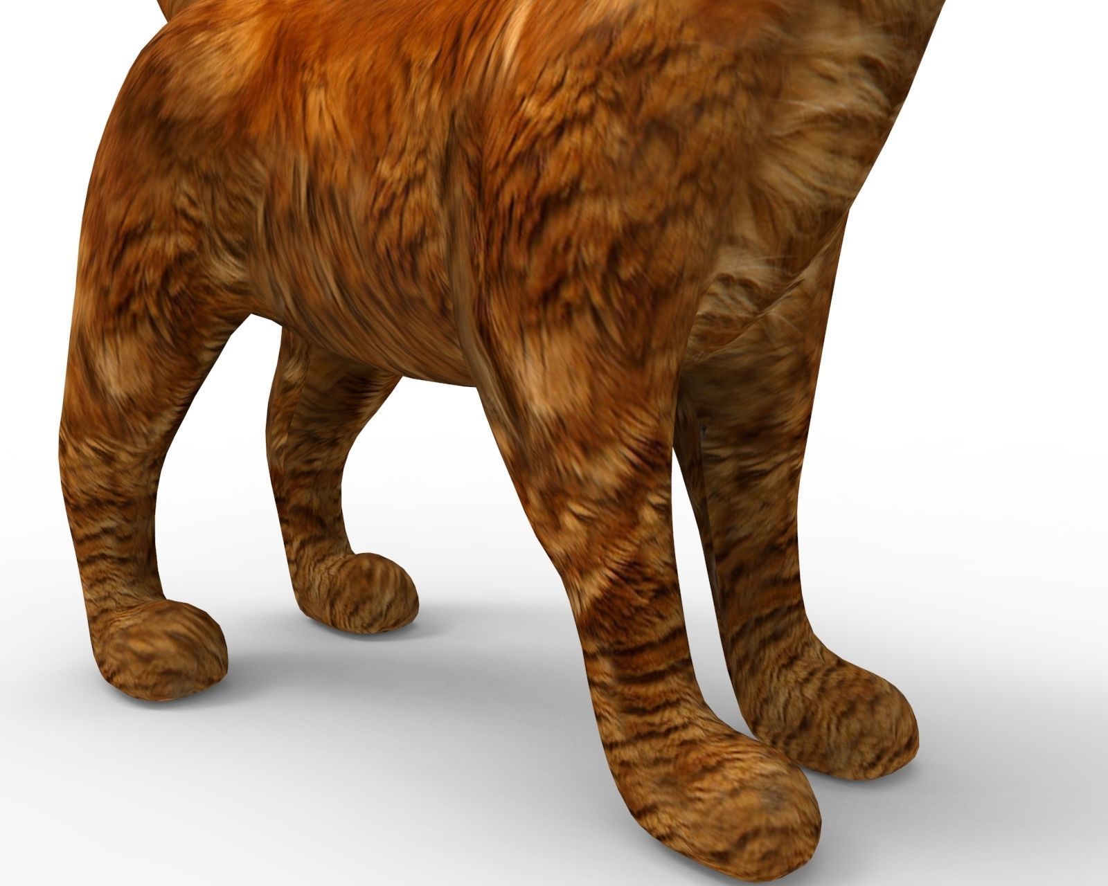 3d low poly Pet Cat Model Low-poly 3D model_9