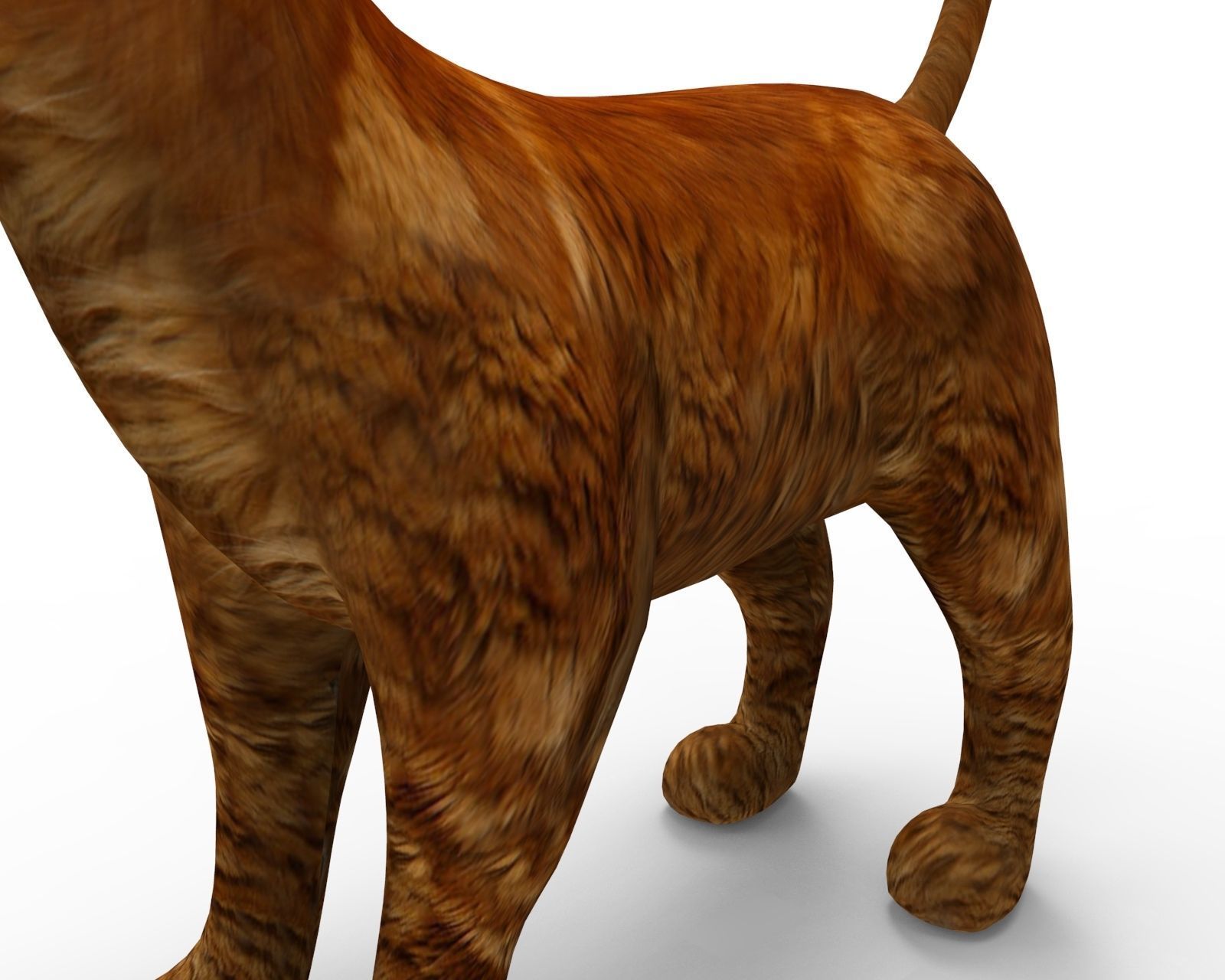 3d low poly Pet Cat Model Low-poly 3D model_8