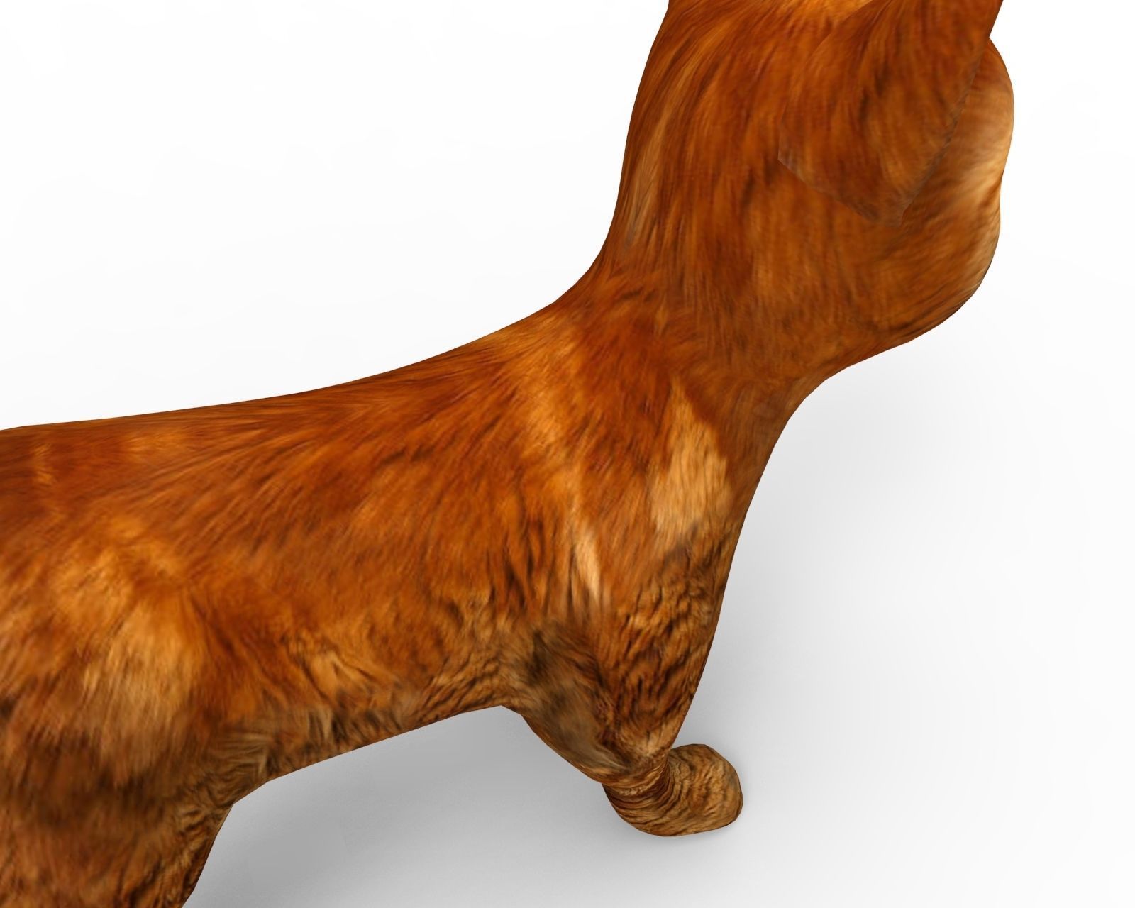 3d low poly Pet Cat Model Low-poly 3D model_10