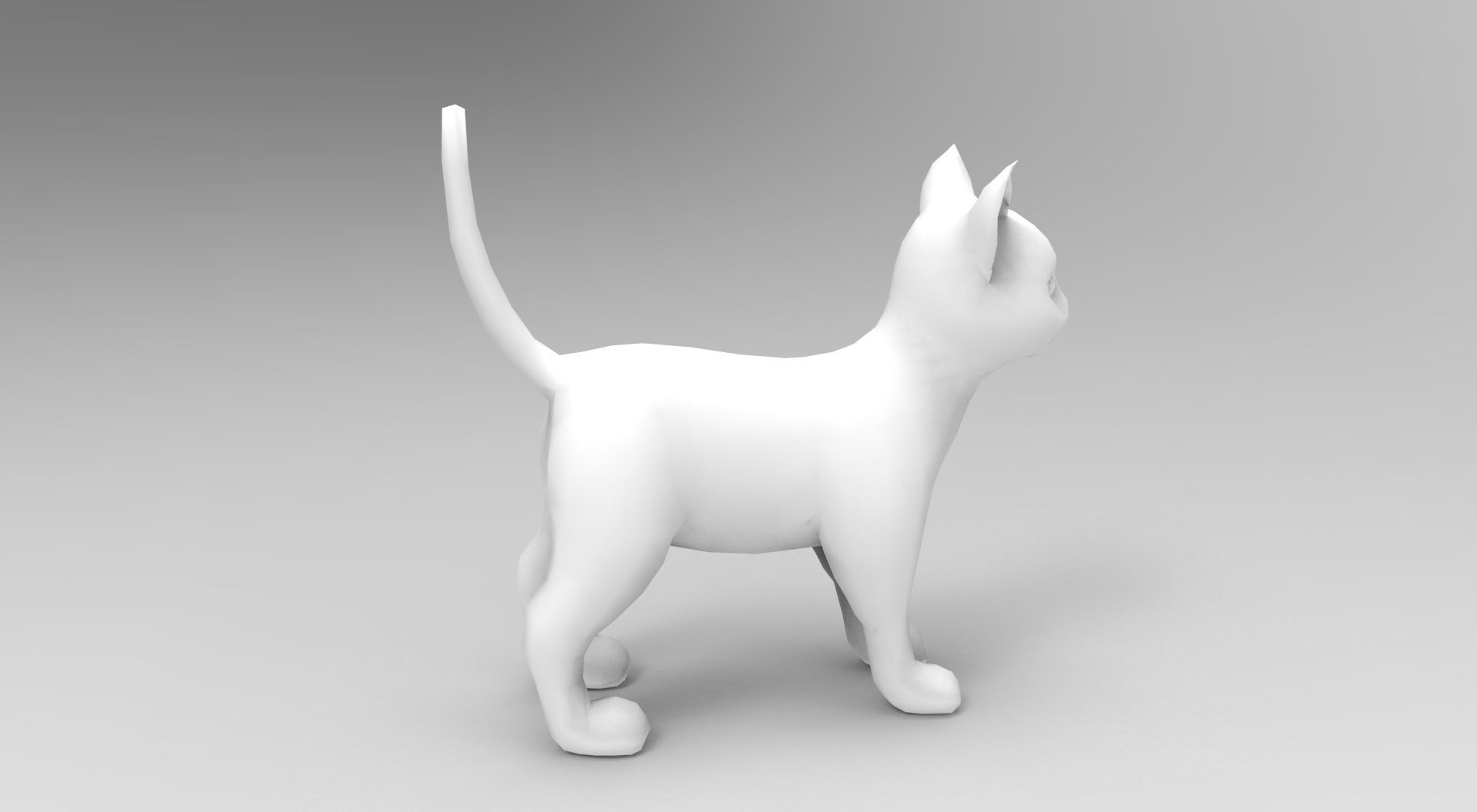 3d low poly Pet Cat Model Low-poly 3D model_19