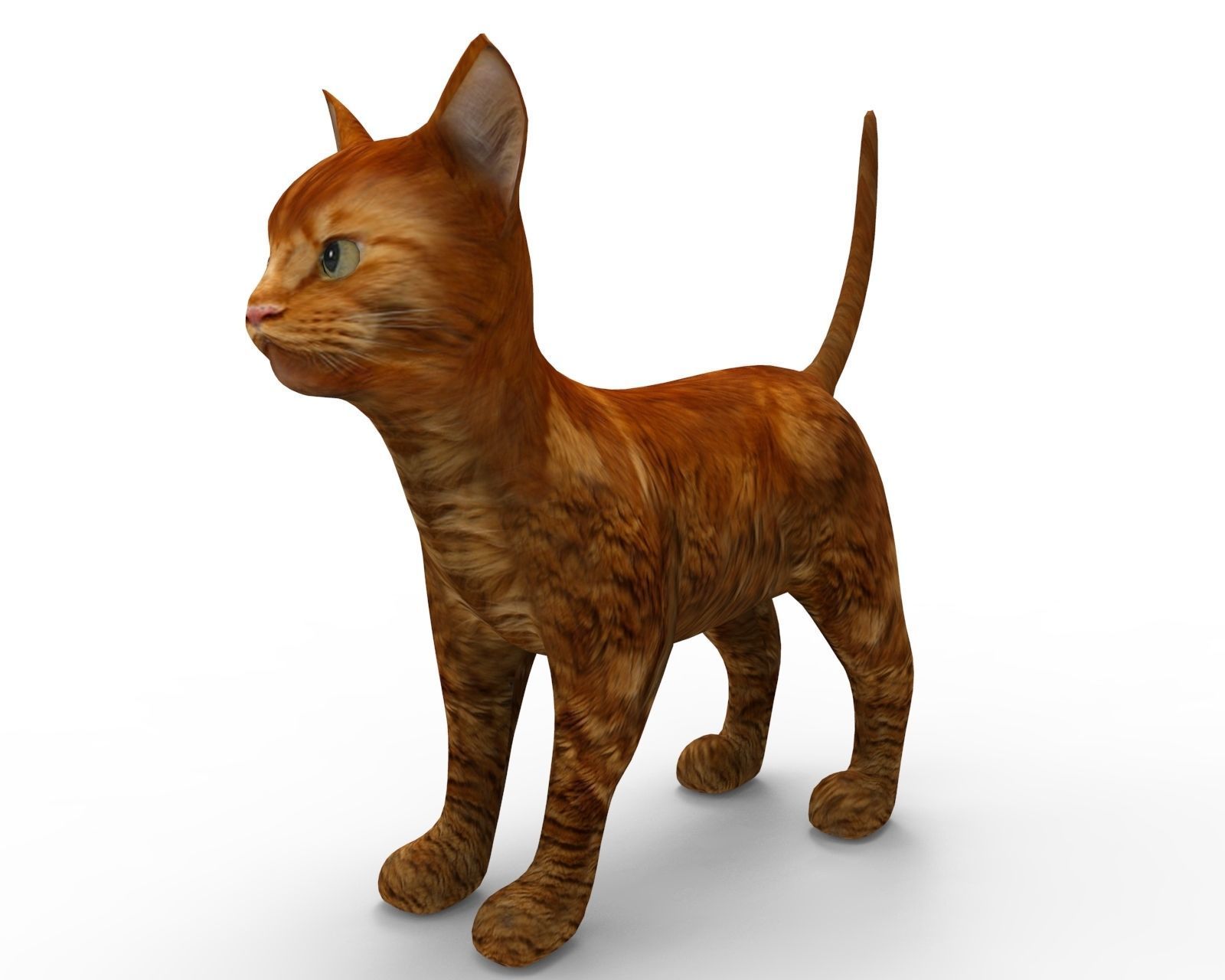 3d low poly Pet Cat Model Low-poly 3D model_2