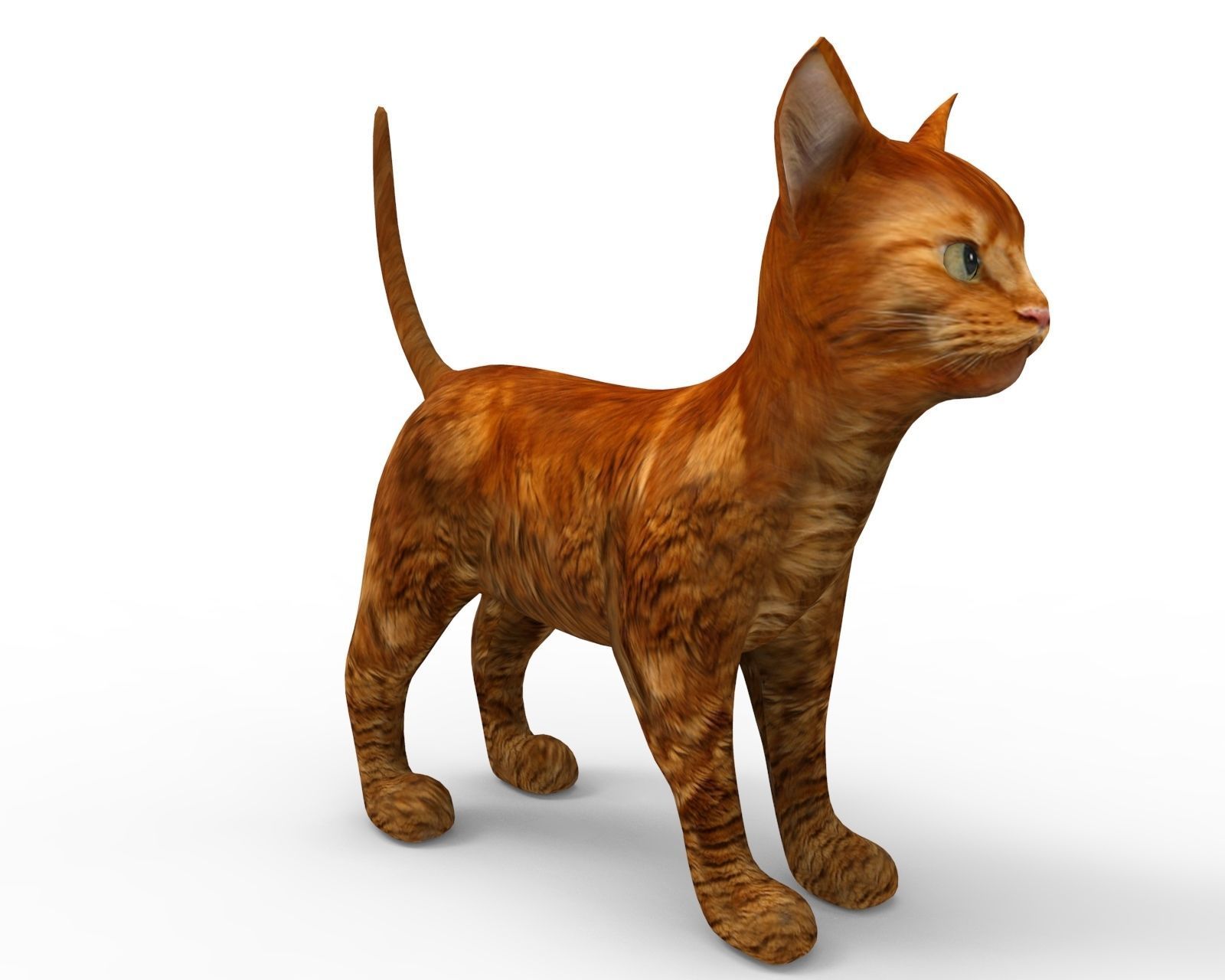 3d low poly Pet Cat Model Low-poly 3D model_3