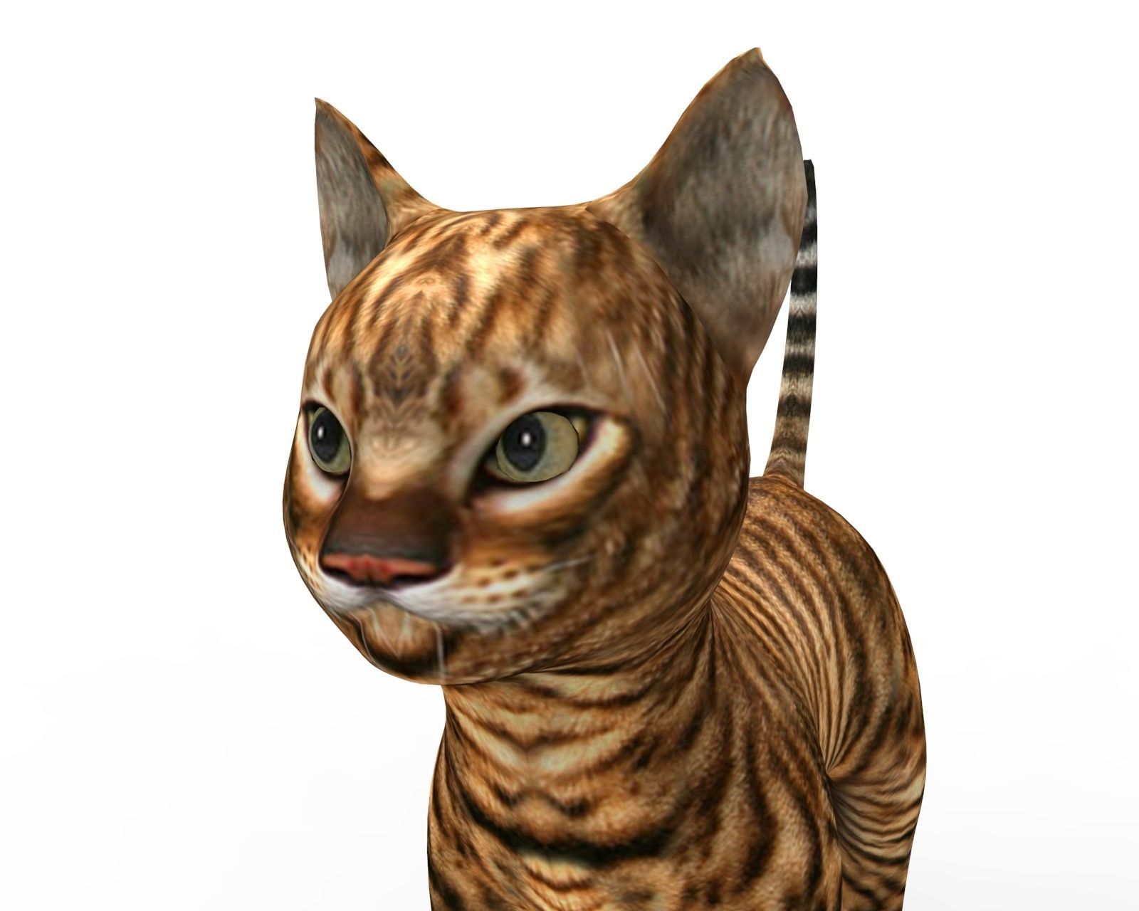 3d Wild Cat low poly  Low-poly 3D model_3