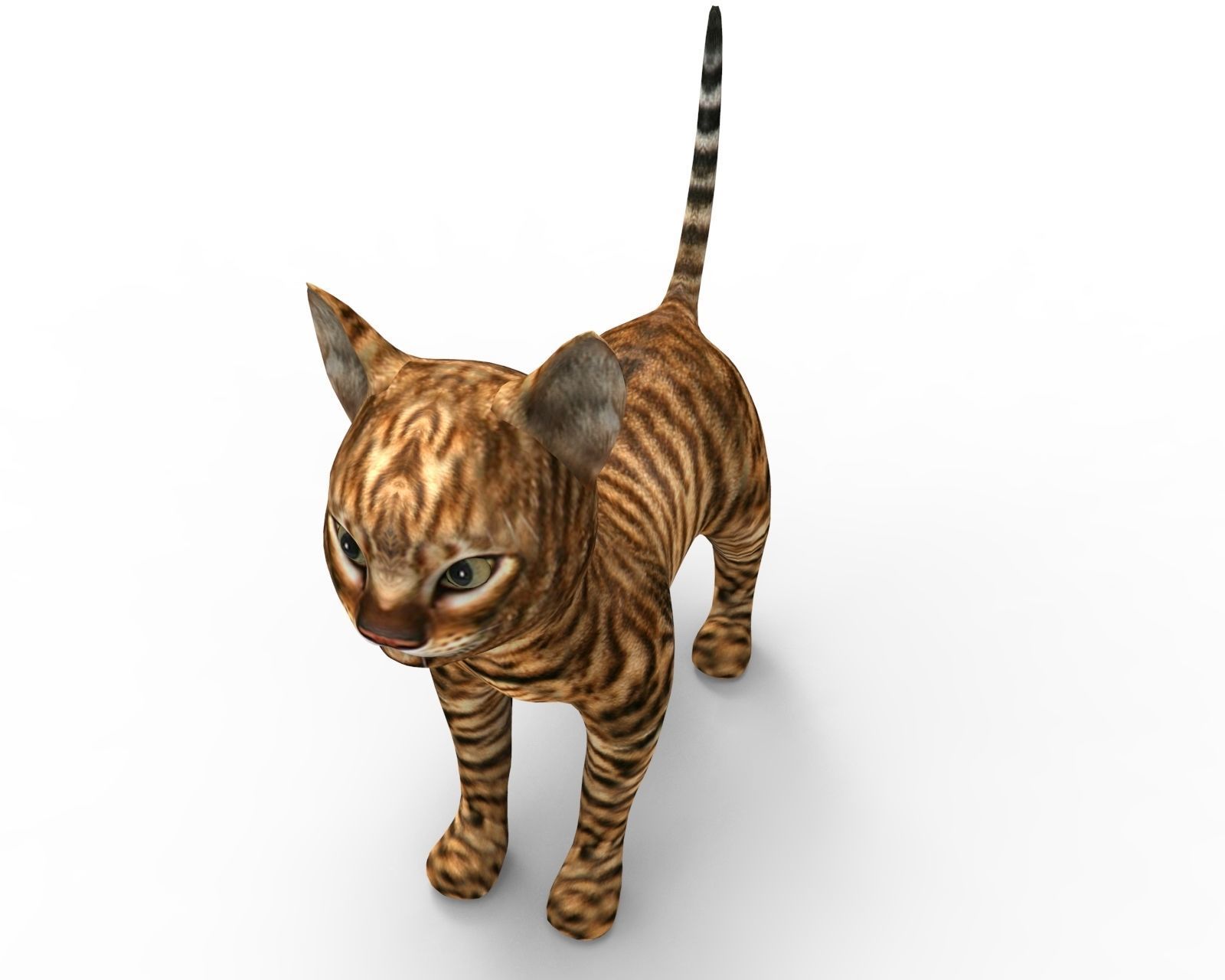 3d Wild Cat low poly  Low-poly 3D model_2