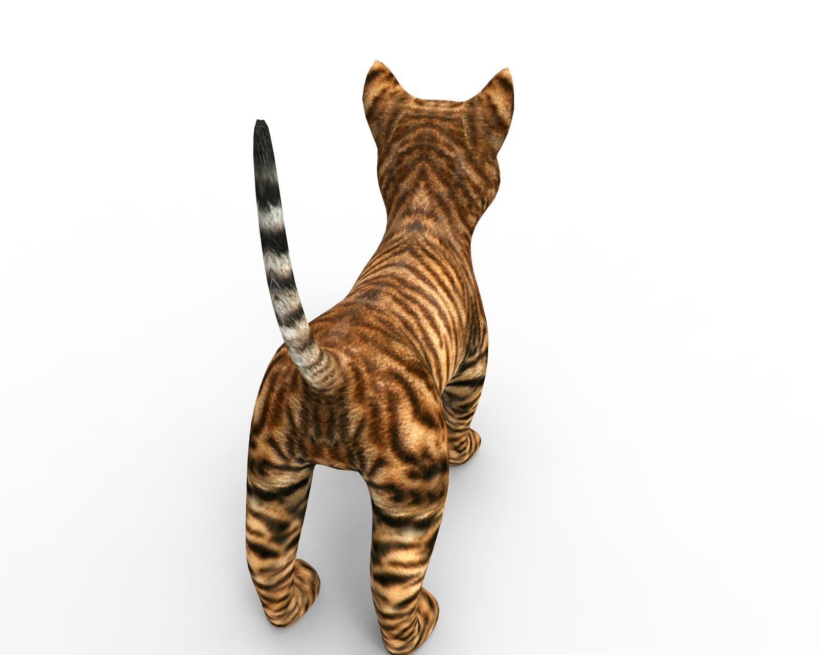 3d Wild Cat low poly  Low-poly 3D model_7