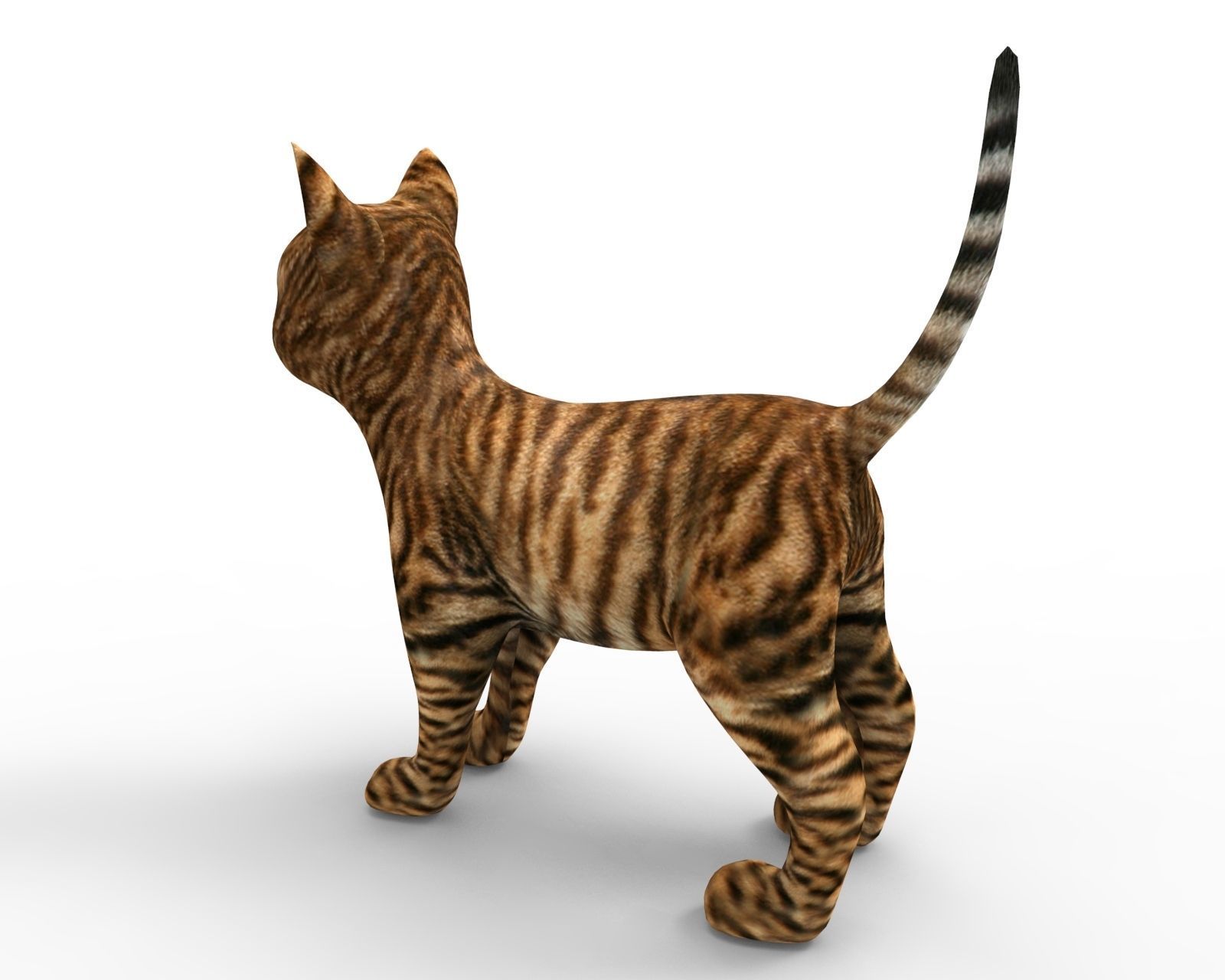 3d Wild Cat low poly  Low-poly 3D model_8