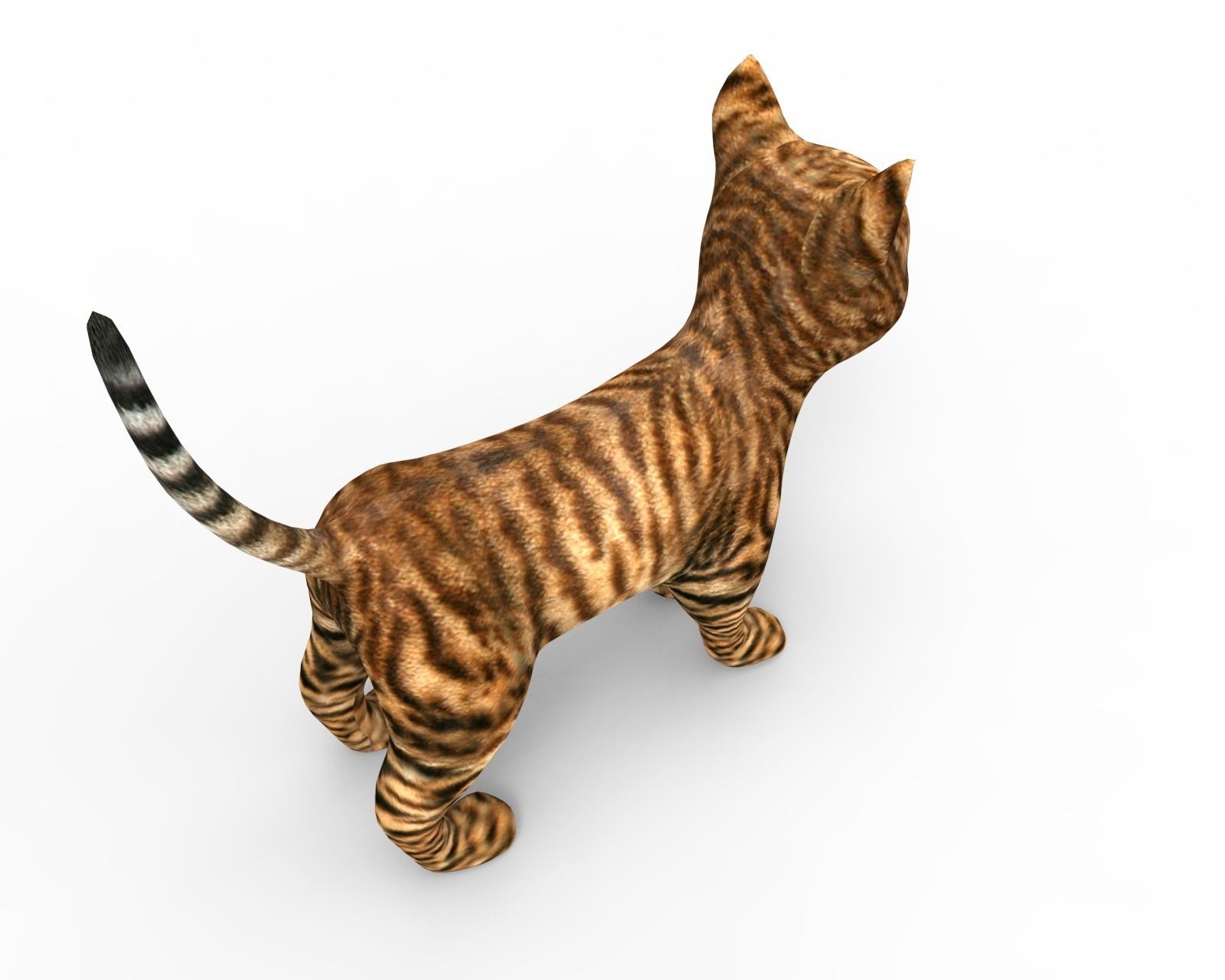 3d Wild Cat low poly  Low-poly 3D model_6