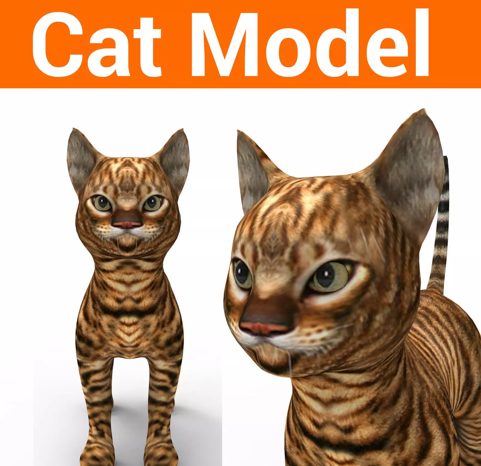 3d Wild Cat low poly  Low-poly 3D model_0