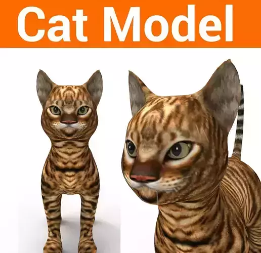 3d Wild Cat low poly  Low-poly 3D model