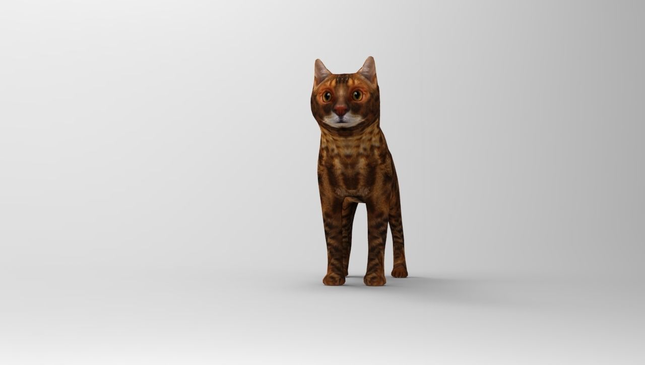 Cat game ready low poly model bengal Low-poly 3D model_12
