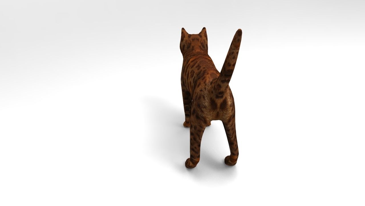 Cat game ready low poly model bengal Low-poly 3D model_3