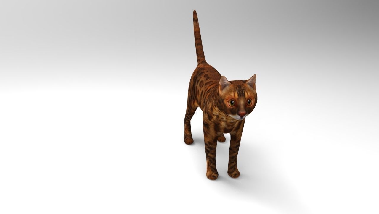 Cat game ready low poly model bengal Low-poly 3D model_8
