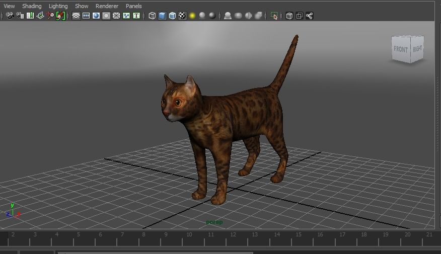 Cat game ready low poly model bengal Low-poly 3D model_24