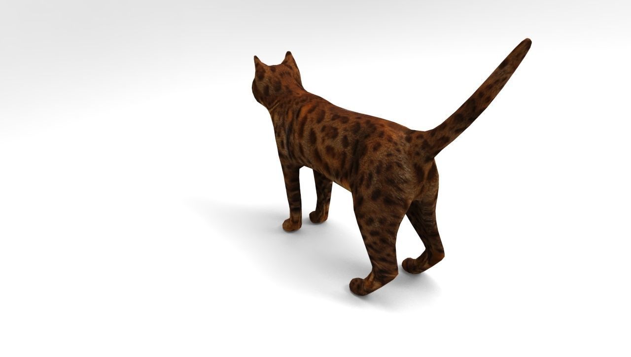 Cat game ready low poly model bengal Low-poly 3D model_2