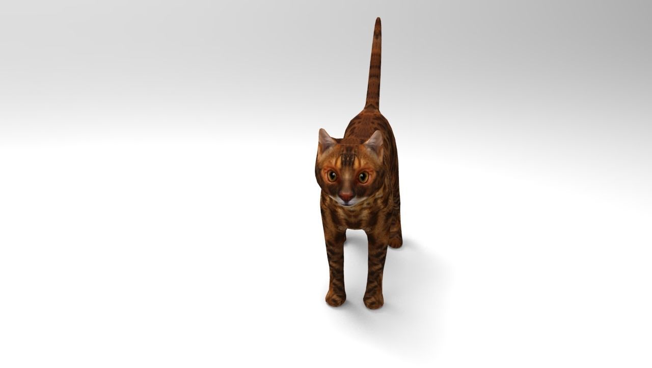 Cat game ready low poly model bengal Low-poly 3D model_9