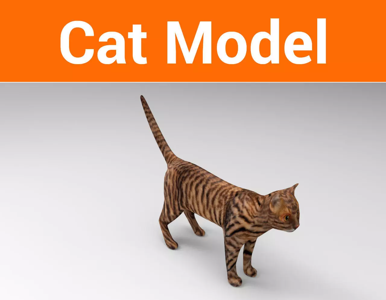 3d Wild Cat model  Low-poly 3D model_0