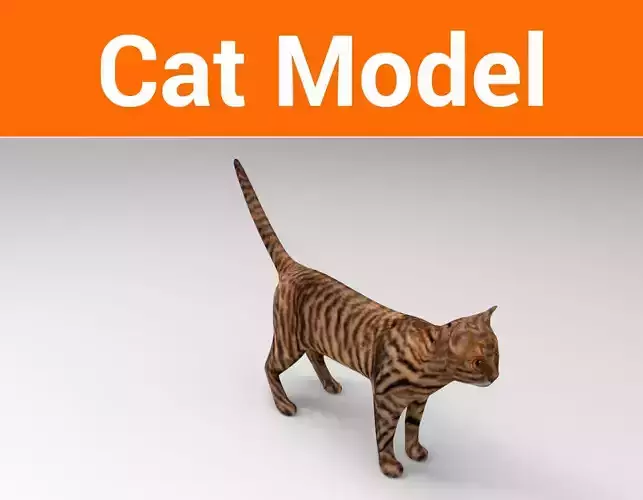 3d Wild Cat model  Low-poly 3D model