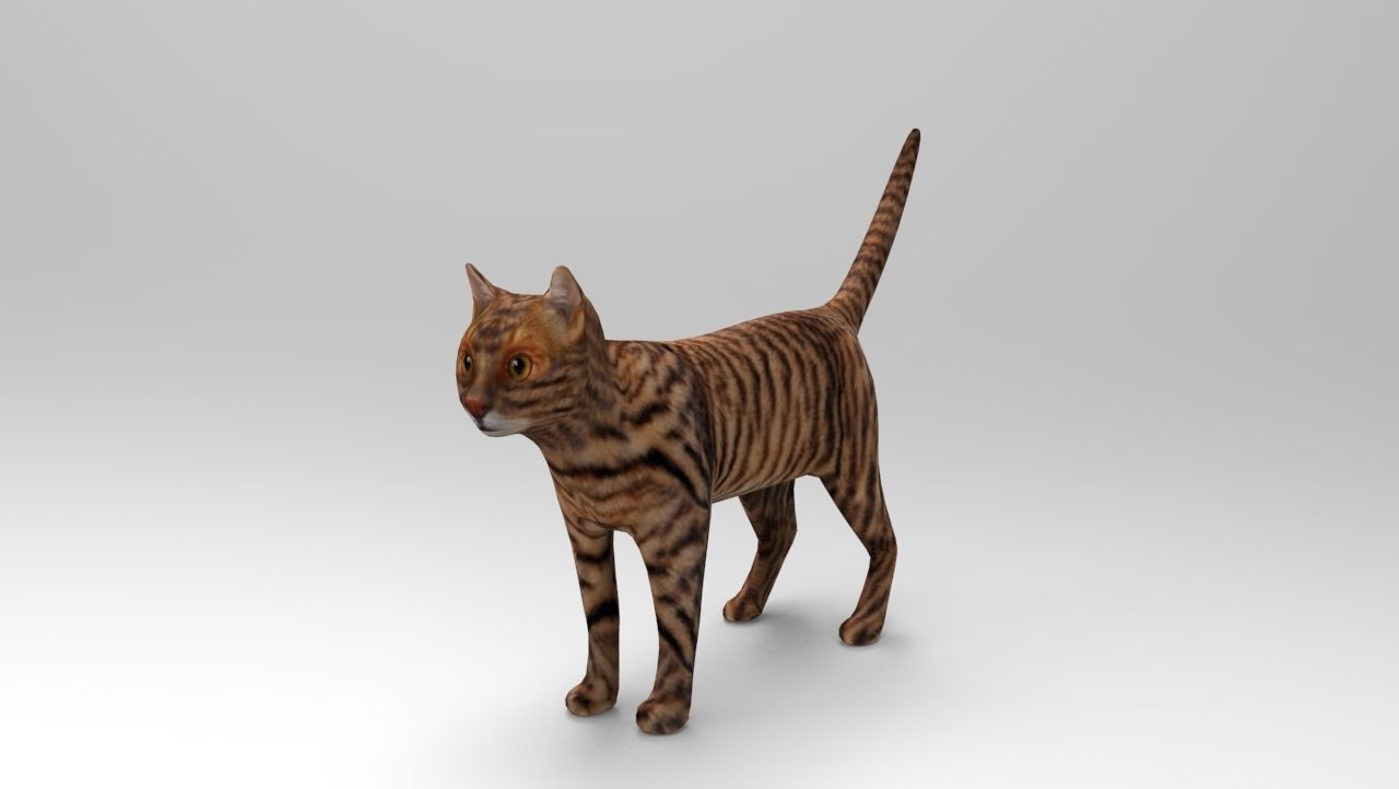3d Wild Cat model  Low-poly 3D model_1