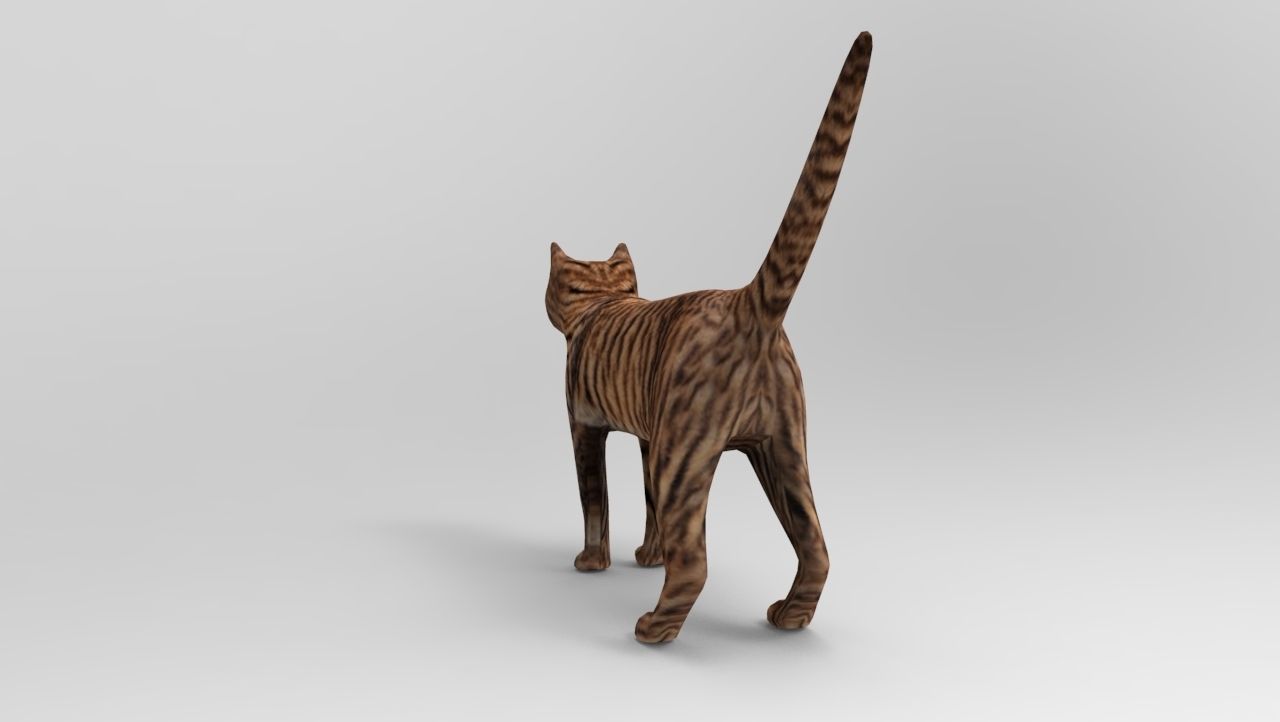 3d Wild Cat model  Low-poly 3D model_4