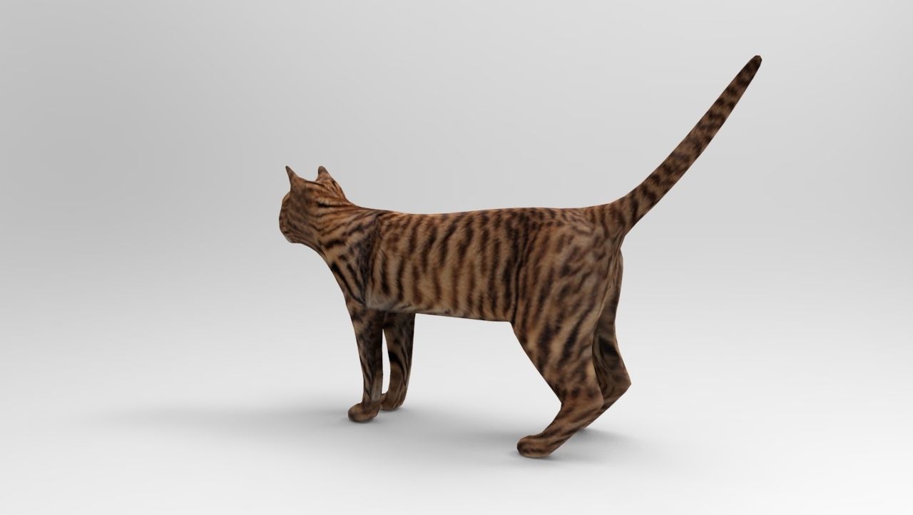 3d Wild Cat model  Low-poly 3D model_3