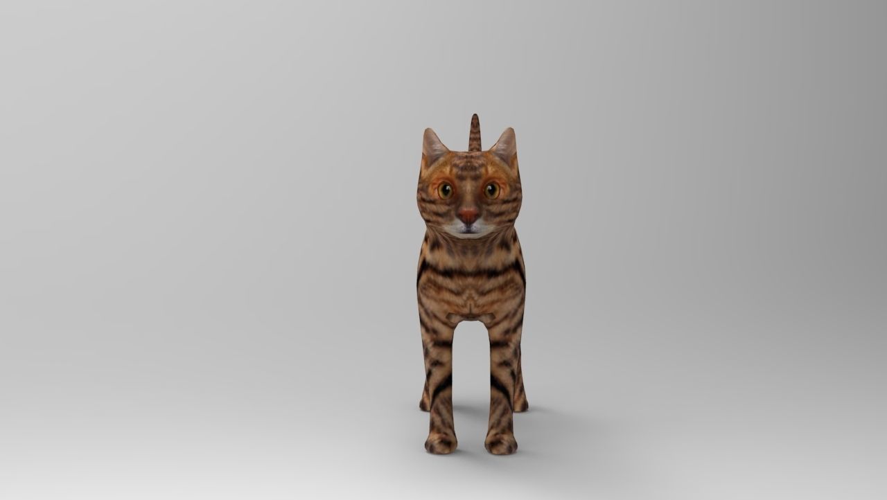 3d Wild Cat model  Low-poly 3D model_9