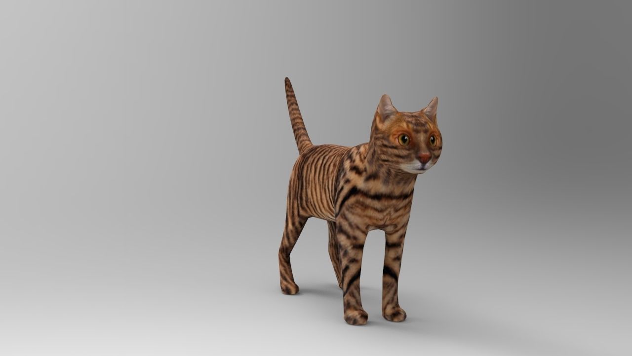 3d Wild Cat model  Low-poly 3D model_8
