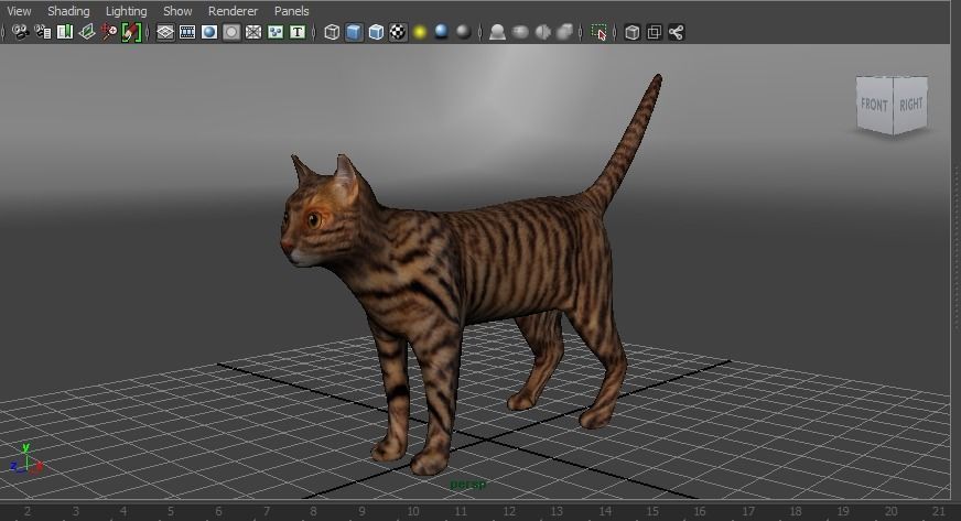 3d Wild Cat model  Low-poly 3D model_21