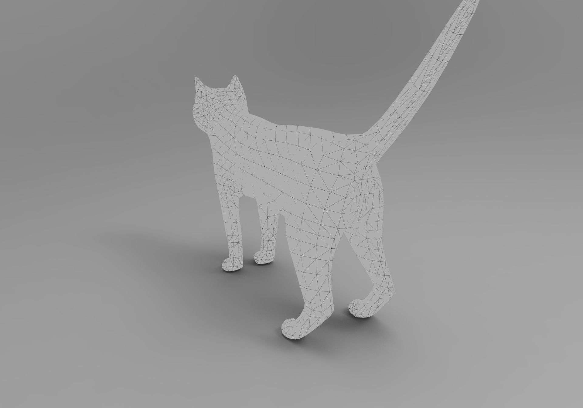 3d Wild Cat model  Low-poly 3D model_20