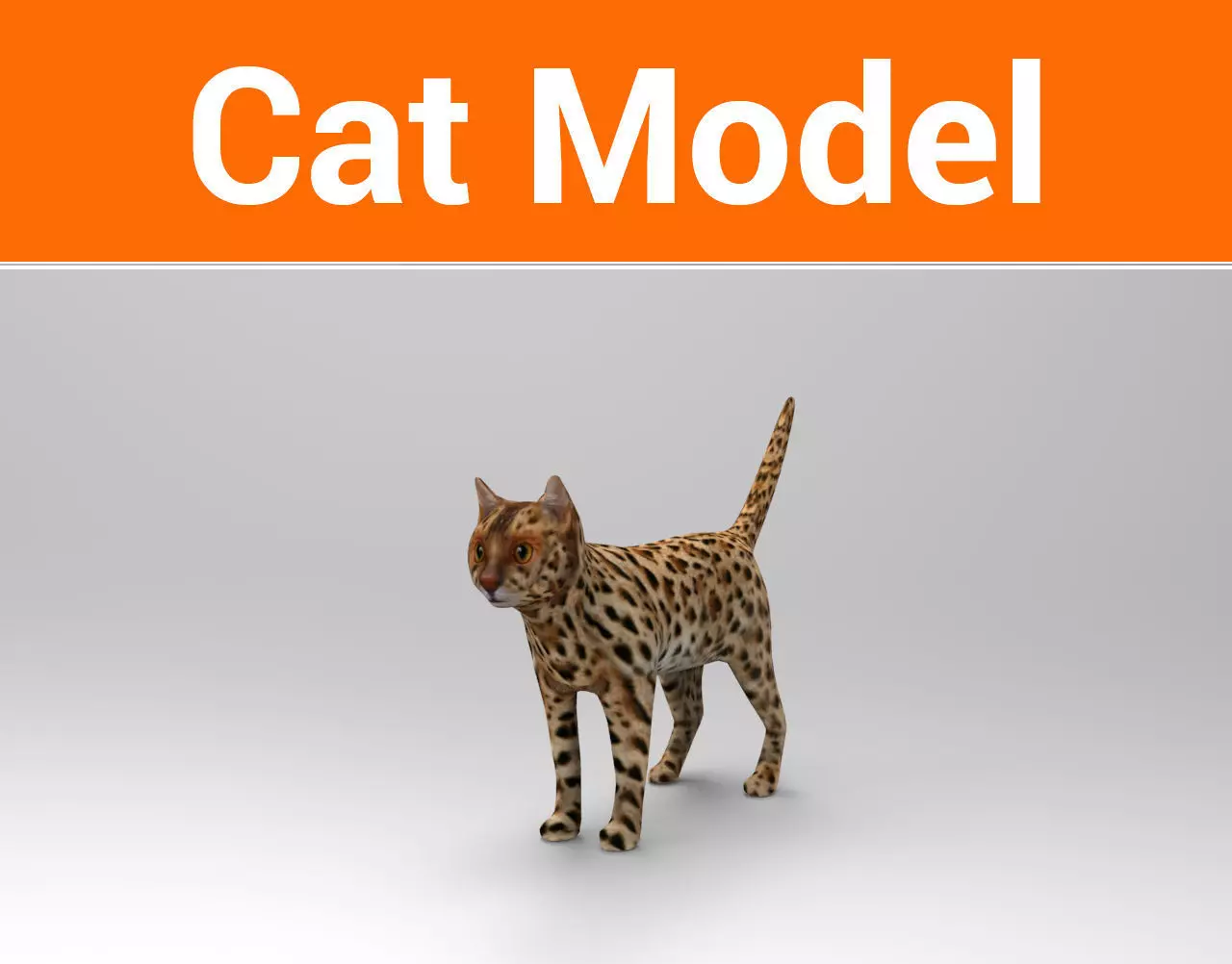 3D Wild Cat game ready low poly model  Low-poly 3D model_0