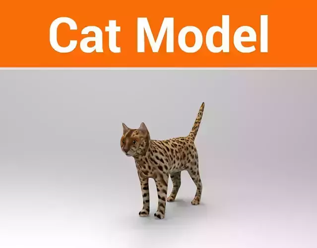 3D Wild Cat game ready low poly model  Low-poly 3D model