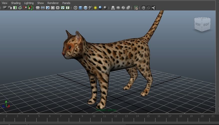 3D Wild Cat game ready low poly model  Low-poly 3D model_21