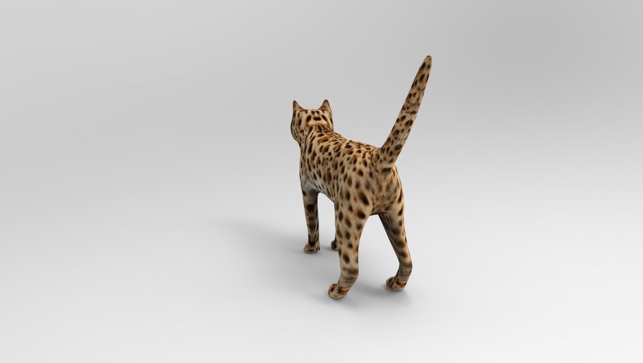 3D Wild Cat game ready low poly model  Low-poly 3D model_4