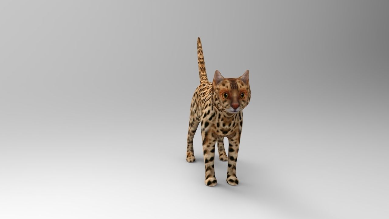 3D Wild Cat game ready low poly model  Low-poly 3D model_8