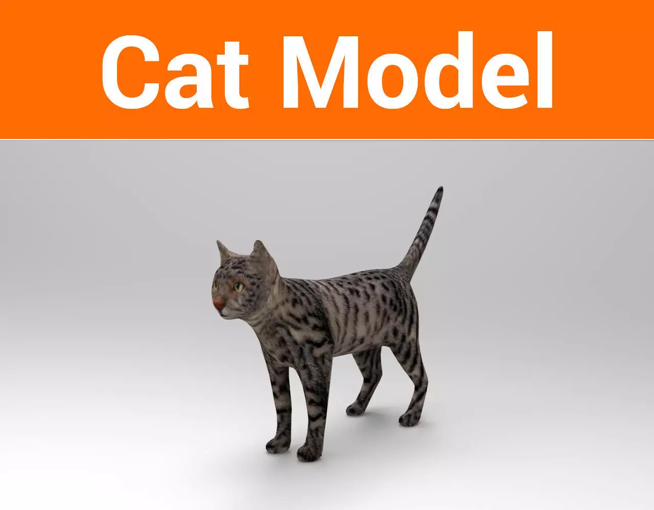 3D Pet Cat Model Low-poly 3D model_0